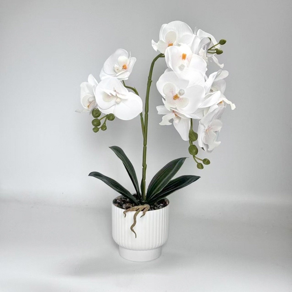 Multi-Bloom Simulated Butterfl - Bonsai Garden Zen ulasan dan harga