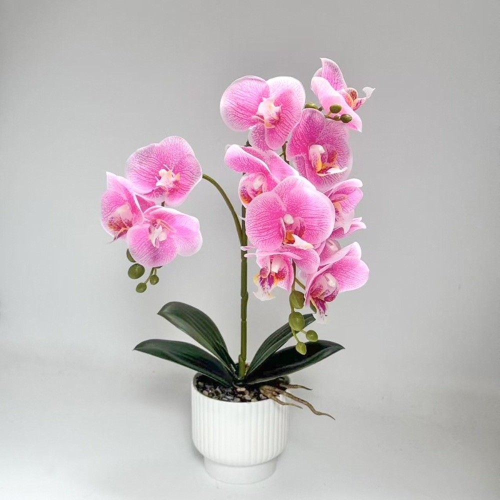 Multi-Bloom Simulated Butterfl - Bonsai Garden Zen ulasan dan harga