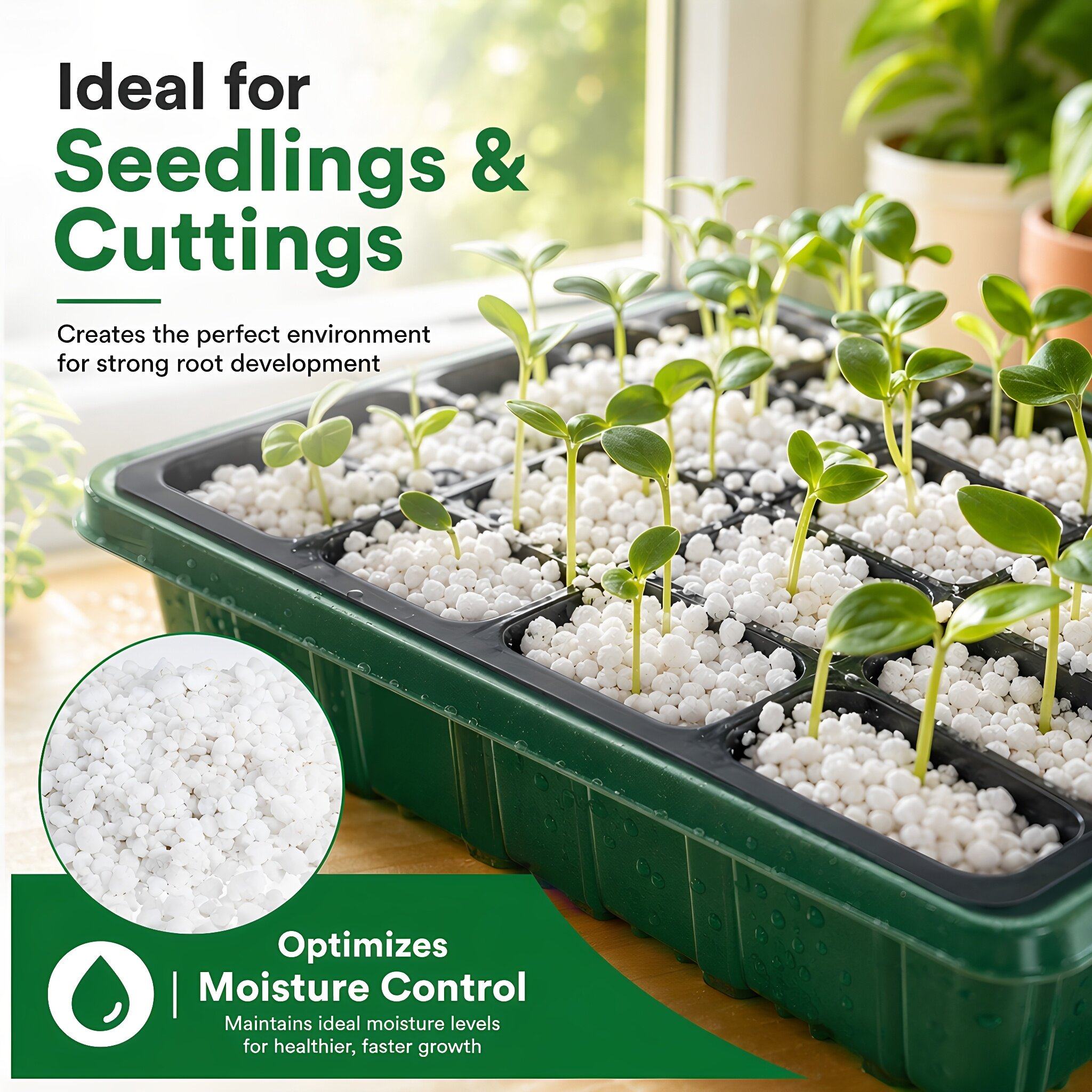 5 Quarts Horticultural Perlite - Horticulture Soil Perlite ulasan dan harga