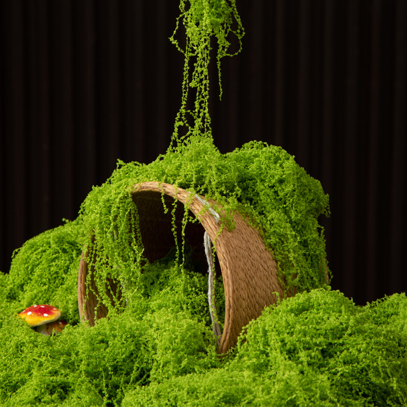 200g Eternal Life Moss DIY Cra - Landscape Bonsai Garden ulasan dan harga