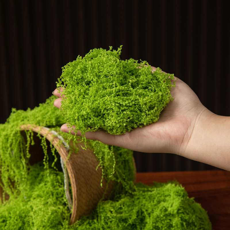 200g Eternal Life Moss DIY Cra - Landscape Bonsai Garden ulasan dan harga