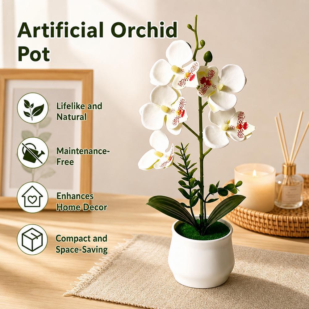5 Flower Butterfly Orchid Simu - Bonsai Garden Layout ulasan dan harga