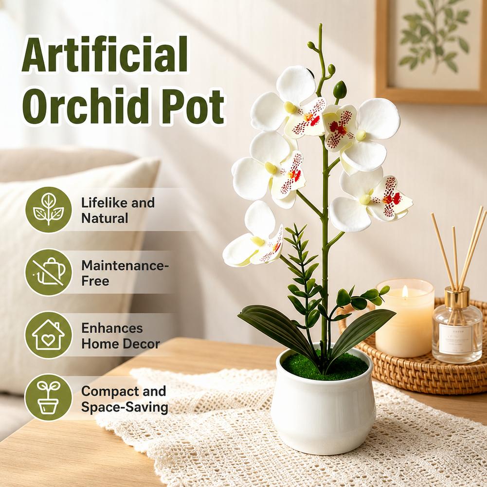 5 Flower Butterfly Orchid Simu - Bonsai Garden Layout ulasan dan harga