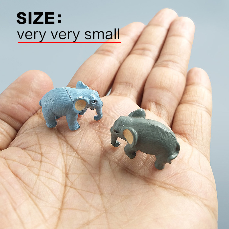 10Pcs Small Elephant Bonsai Fi - Bonsai Garden In Japan ulasan dan harga