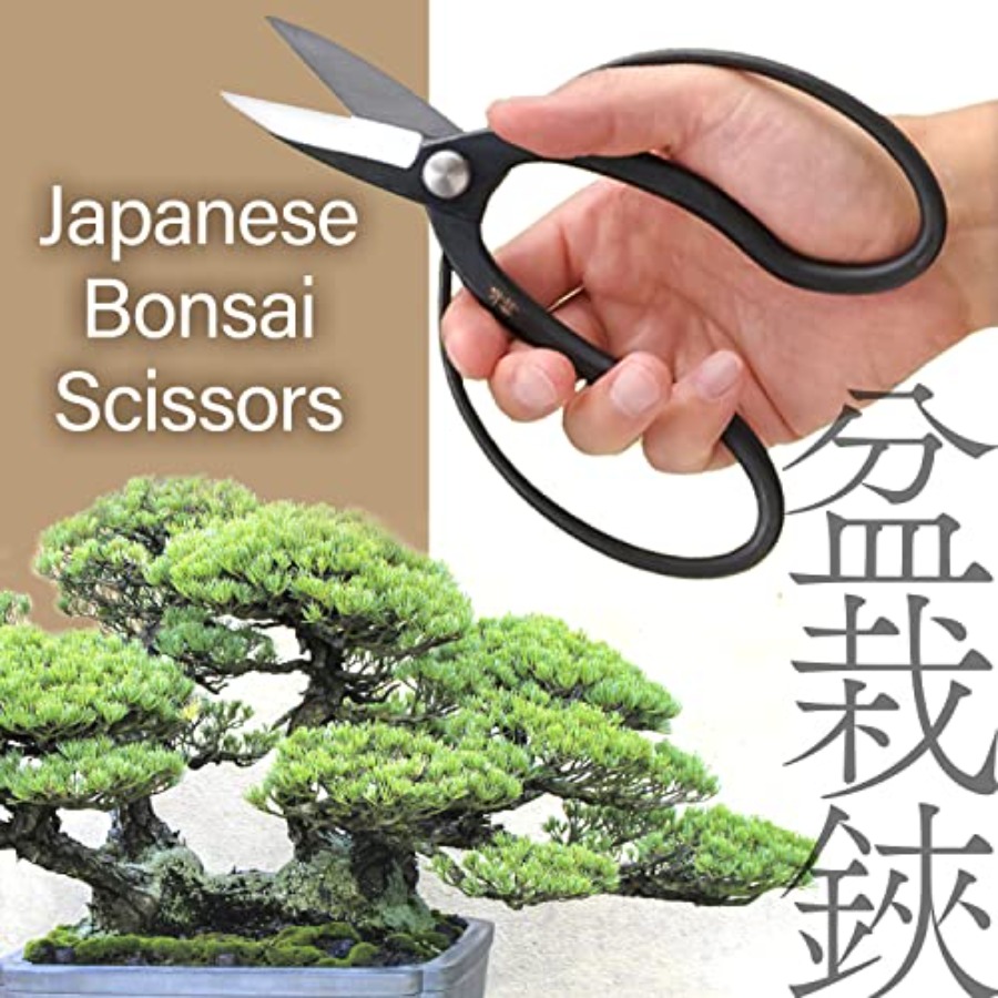 Japanese Suiryu Bonsai Scissor - Bonsai Garden In Japan ulasan dan harga