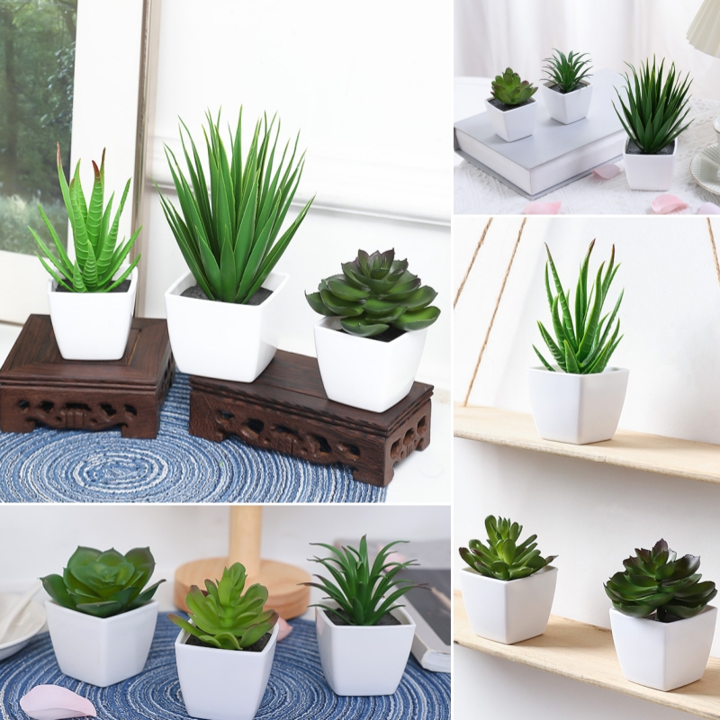 (A set of 3PCS) Simulated Mini - Bonsai Garden Zen ulasan dan harga