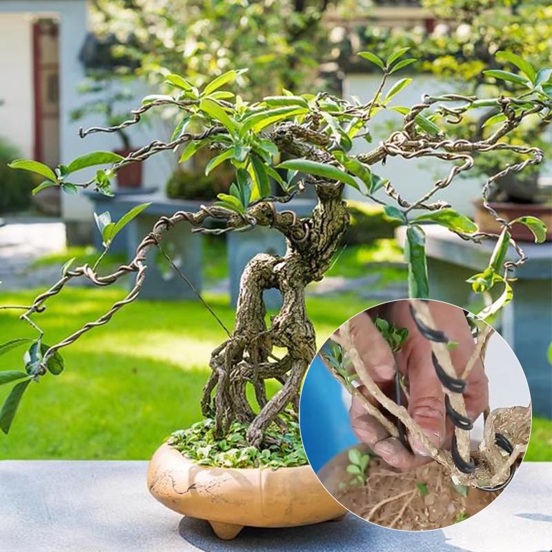 10 M Aluminum Bonsai Training  - Bonsai Wire Aluminum ulasan dan harga