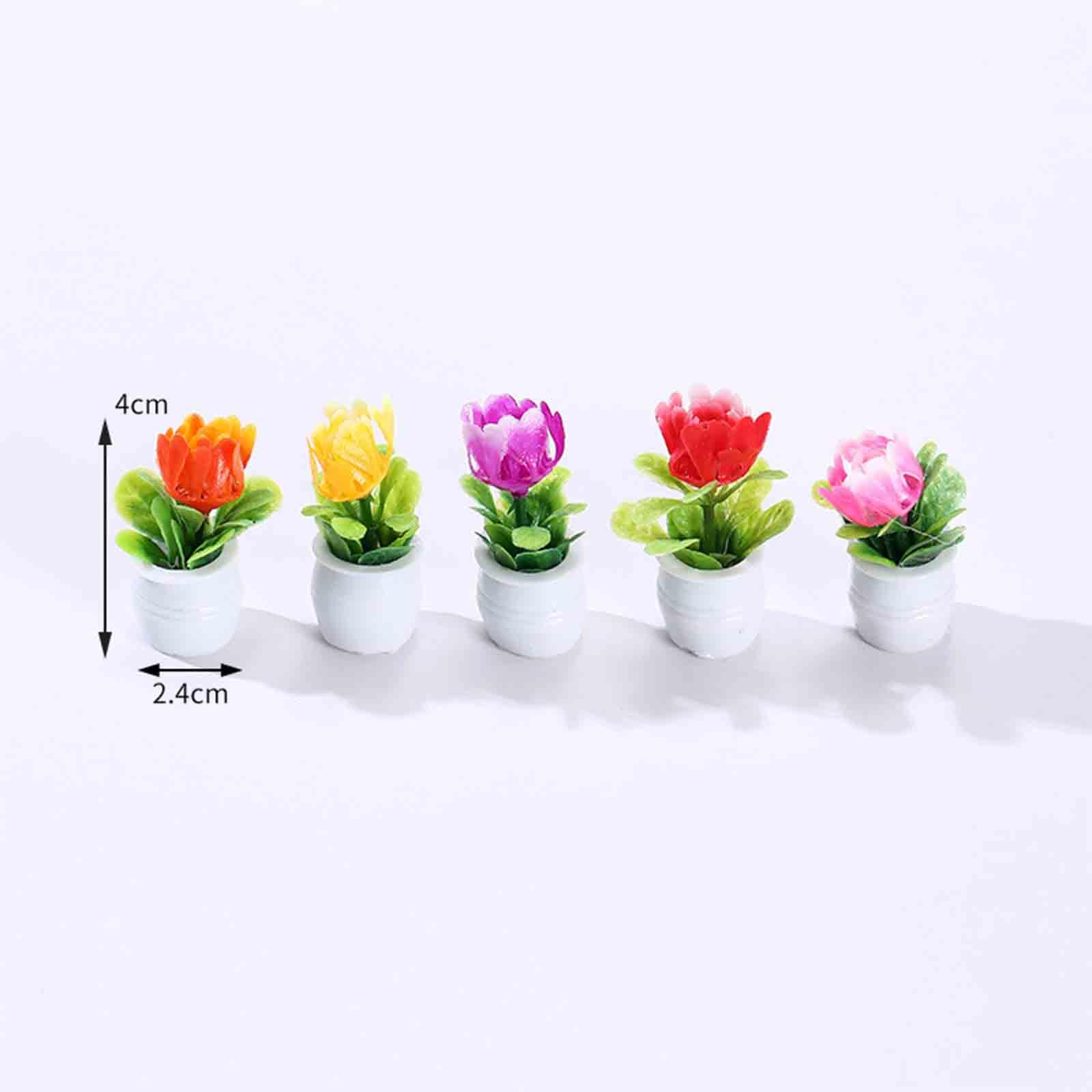 5Pcs 1:12 Dollhouse Miniature  - Bonsai Garden Europe ulasan dan harga