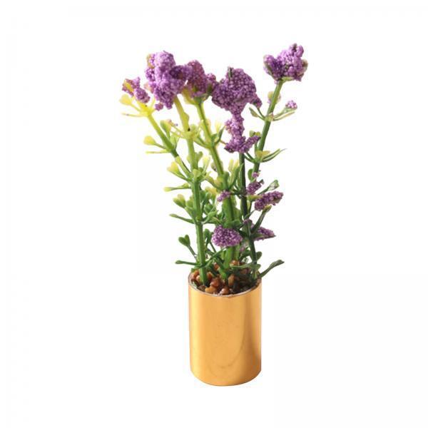 Miniature Potted Plant Ornamen - Bonsai Garden Europe ulasan dan harga