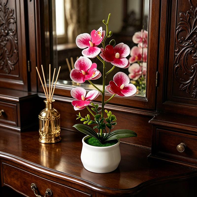 5 Flower Butterfly Orchid Simu - Bonsai Garden Layout ulasan dan harga
