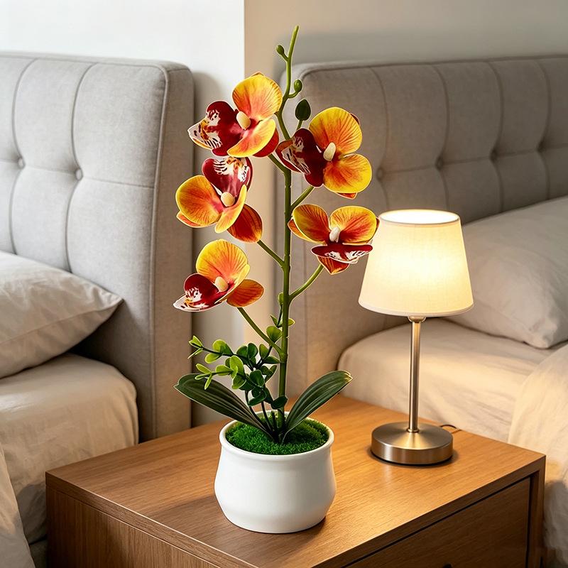 5 Flower Butterfly Orchid Simu - Bonsai Garden Layout ulasan dan harga