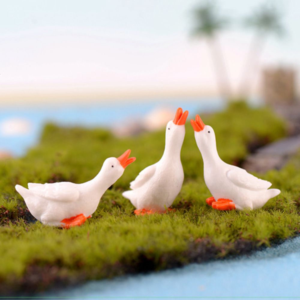 Decor Resin Fairy Garden Acces - Bonsai Garden Zen ulasan dan harga